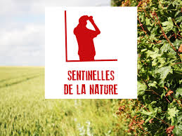 identifiant: betton.protectionpollinisateurs@orange.fr mdp: Bpp_35830 identifiant: betton.protectionpollinisateurs@orange.fr mdp: Bpp_35830